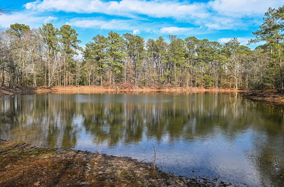 Troy Arboretum, United States